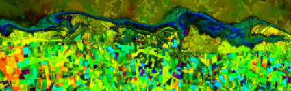 Colour-coded satellite classification of vegetation change