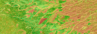 Satellite-derived map of vegetation across a landscape