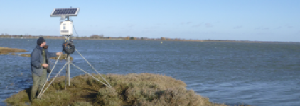 A researcher setting up a solar-powered monitoring station on a coastal marsh